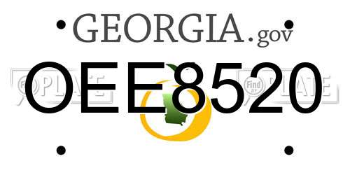 OEE8520 Georgia License Plate