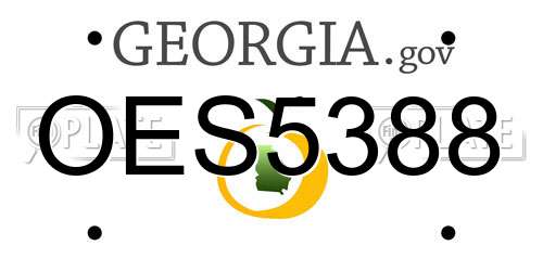 OES5388 Georgia License Plate