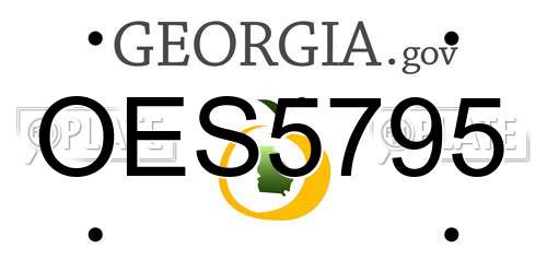 OES5795 Georgia License Plate