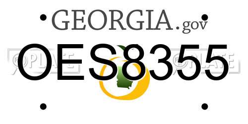 OES8355 Georgia License Plate