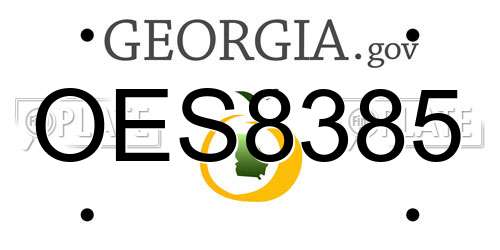 OES8385 Georgia License Plate