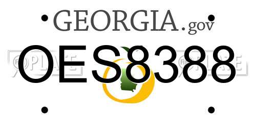OES8388 Georgia License Plate