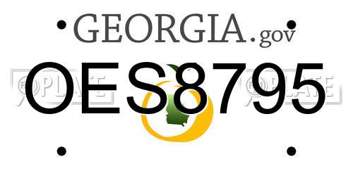 OES8795 Georgia License Plate