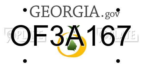 OF3A167 Georgia License Plate