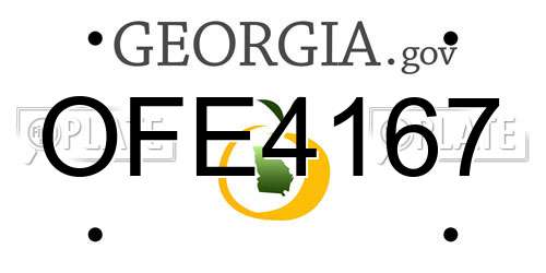 OFE4167 Georgia License Plate