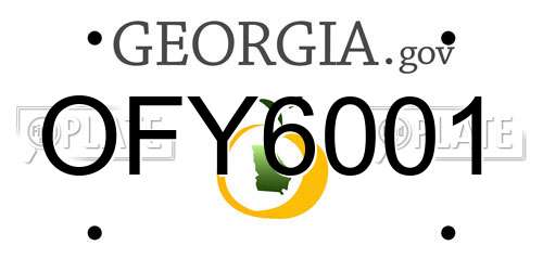 OFY6001 Georgia License Plate