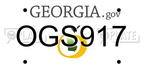 OGS917 Georgia License Plate