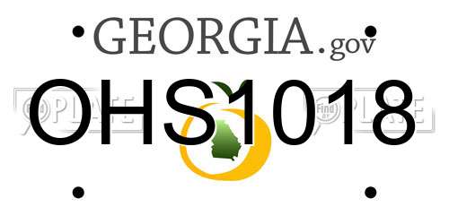 OHS1018 Georgia License Plate