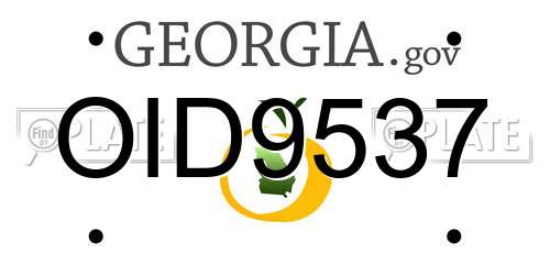 OID9537 Georgia License Plate