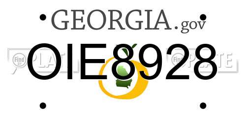 OIE8928 Georgia License Plate