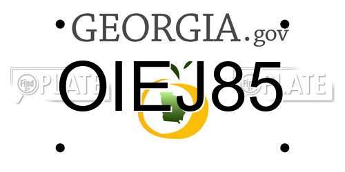 OIEJ85 Georgia License Plate