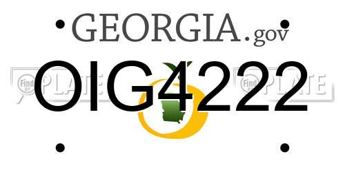 OIG4222 Georgia License Plate