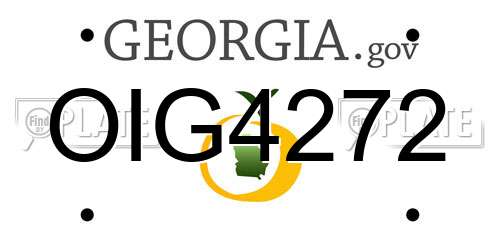 OIG4272 Georgia License Plate