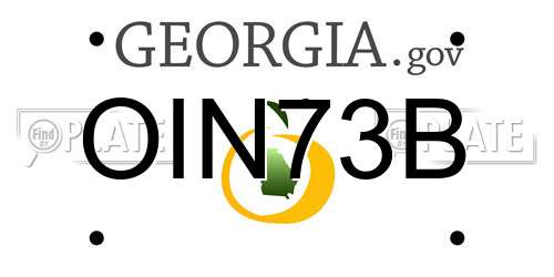 OIN73B Georgia License Plate