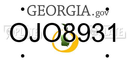 OJO8931 Georgia License Plate