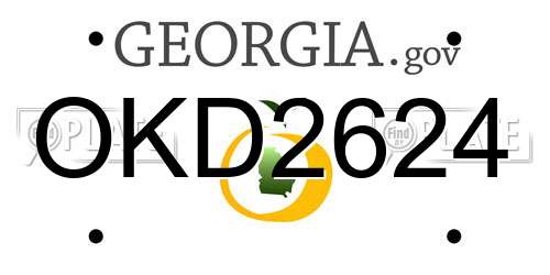 OKD2624 Georgia License Plate