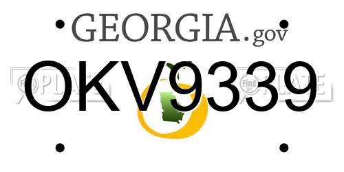 OKV9339 Georgia License Plate