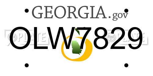 OLW7829 Georgia License Plate