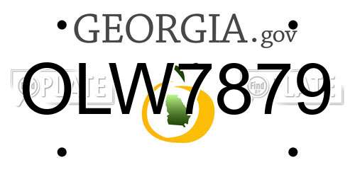 OLW7879 Georgia License Plate