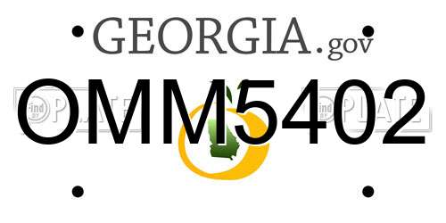 OMM5402 Georgia License Plate