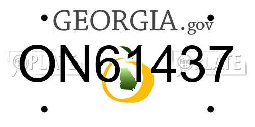 ON61437 Georgia License Plate