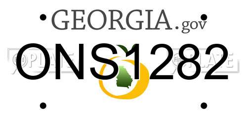 ONS1282 Georgia License Plate