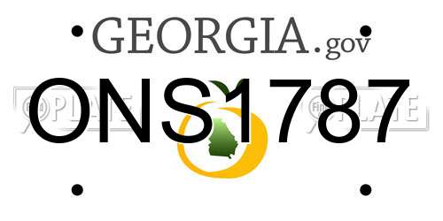 ONS1787 Georgia License Plate