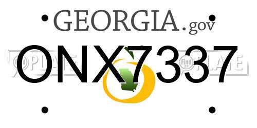 ONX7337 Georgia License Plate