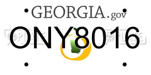 ONY8016 Georgia License Plate