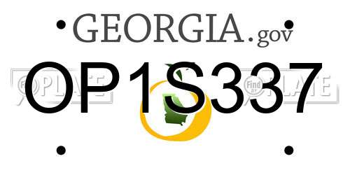 OP1S337 Georgia License Plate