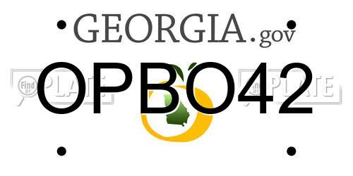 OPBO42 Georgia License Plate