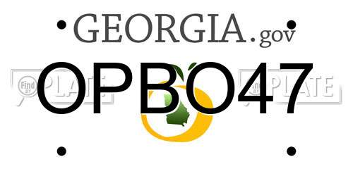 OPBO47 Georgia License Plate