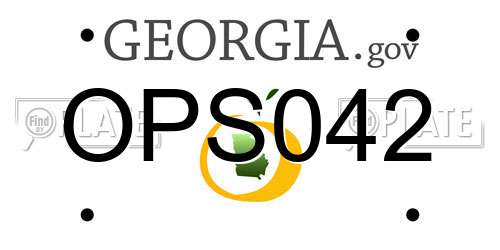 OPS042 Georgia License Plate