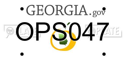 OPS047 Georgia License Plate
