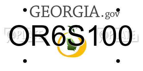 OR6S100 Georgia License Plate
