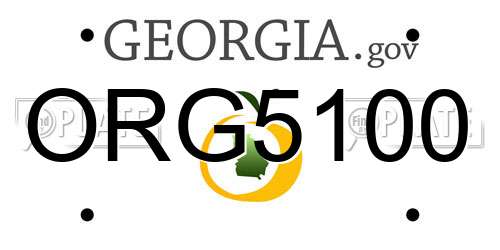 ORG5100 Georgia License Plate