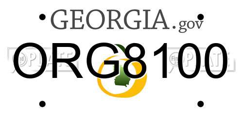 ORG8100 Georgia License Plate