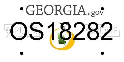OS18282 Georgia License Plate