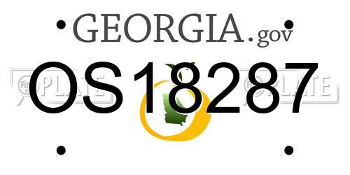 OS18287 Georgia License Plate