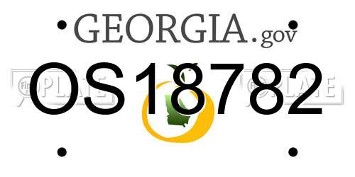 OS18782 Georgia License Plate