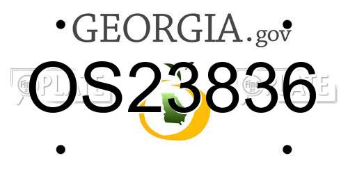 OS23836 Georgia License Plate