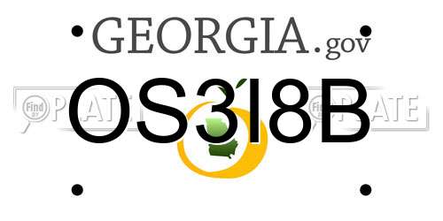 OS3I8B Georgia License Plate