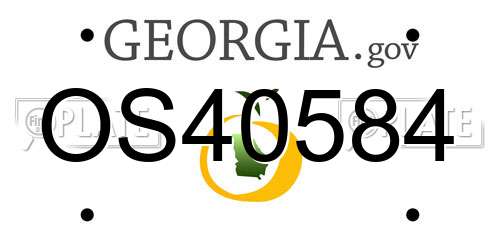 OS40584 Georgia License Plate