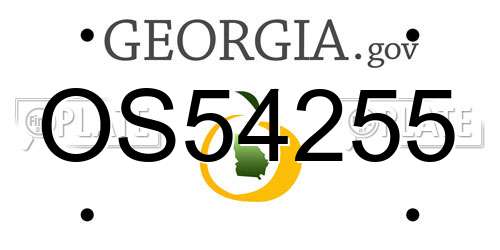 OS54255 Georgia License Plate