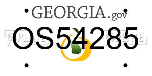 OS54285 Georgia License Plate