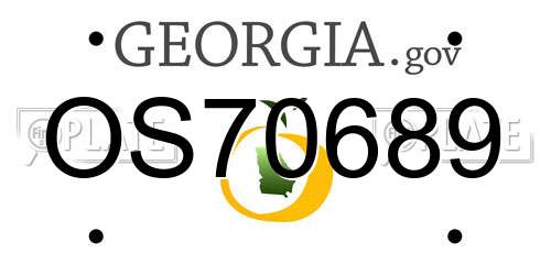 OS70689 Georgia License Plate