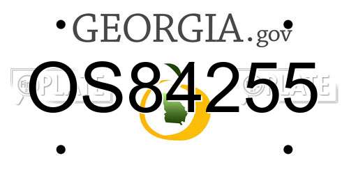 OS84255 Georgia License Plate