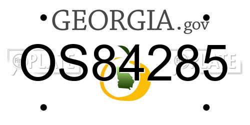 OS84285 Georgia License Plate
