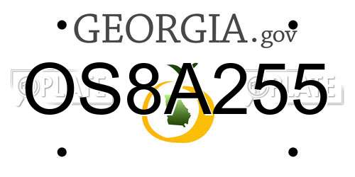 OS8A255 Georgia License Plate