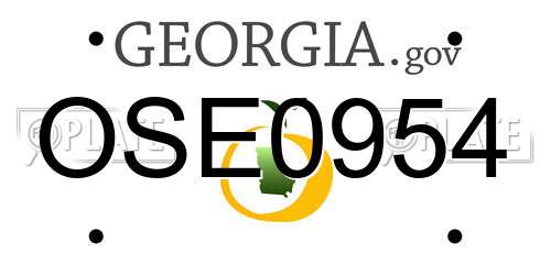 OSE0954 Georgia License Plate